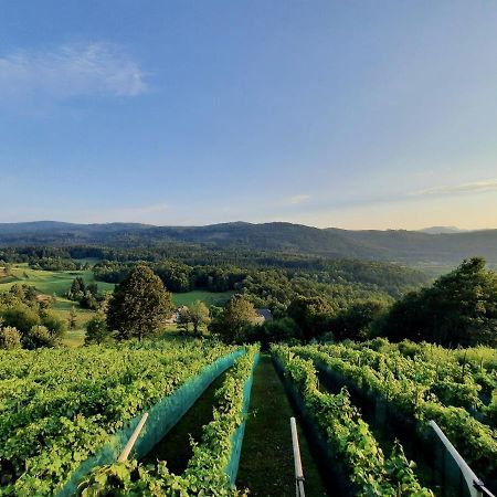 Vineyard Cottage Kulovec Ursna Sela Экстерьер фото