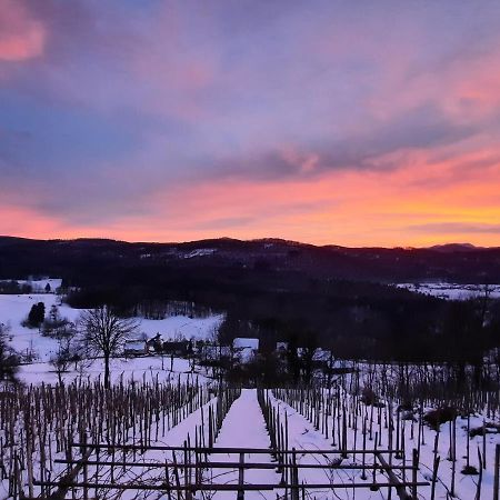 Vineyard Cottage Kulovec Ursna Sela Экстерьер фото