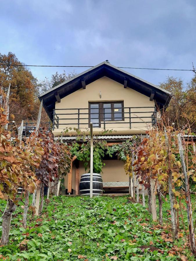 Vineyard Cottage Kulovec Ursna Sela Экстерьер фото