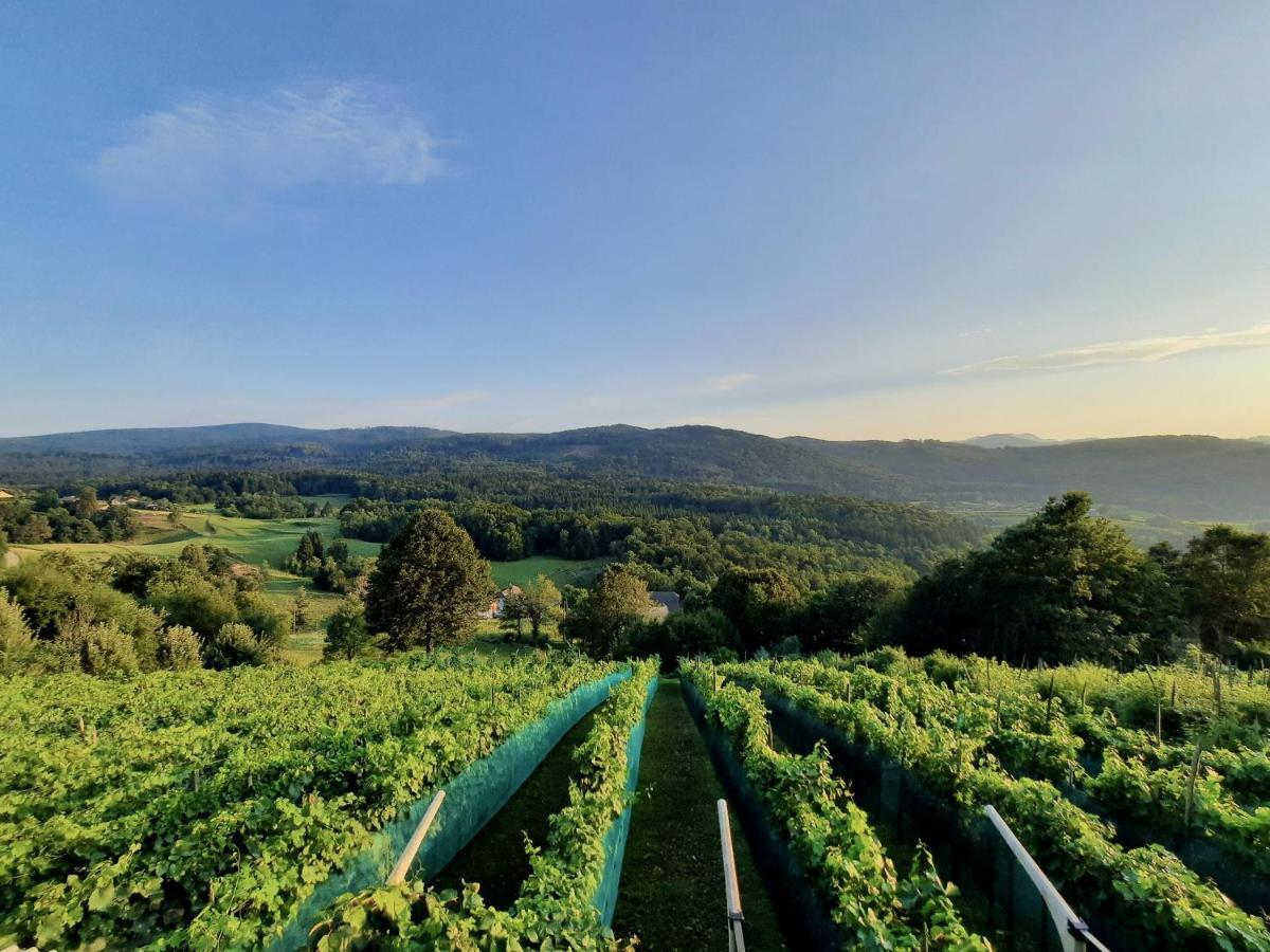 Vineyard Cottage Kulovec Ursna Sela Экстерьер фото