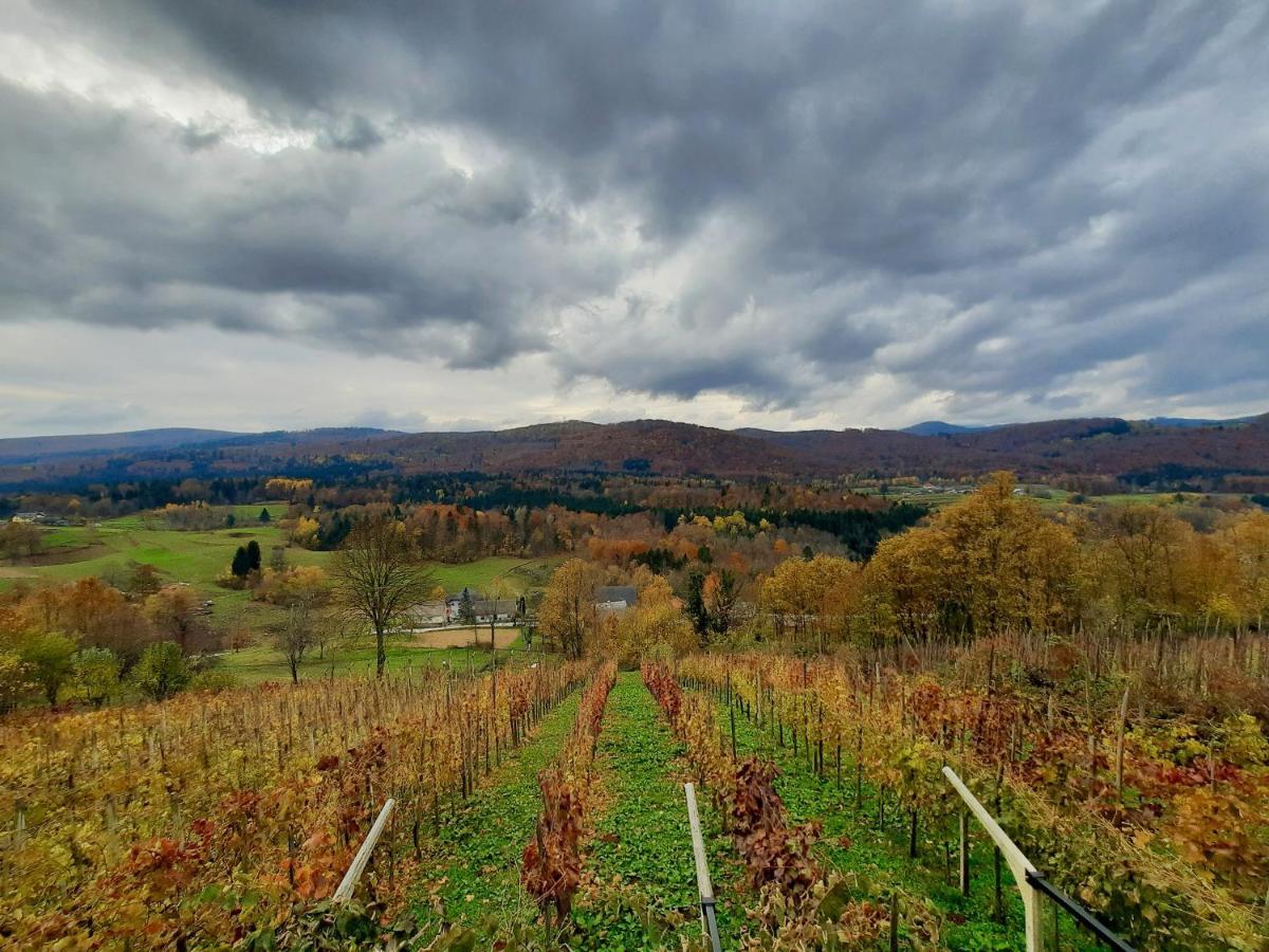 Vineyard Cottage Kulovec Ursna Sela Экстерьер фото