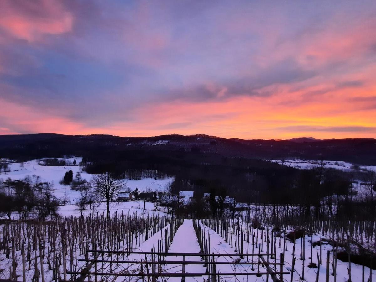Vineyard Cottage Kulovec Ursna Sela Экстерьер фото