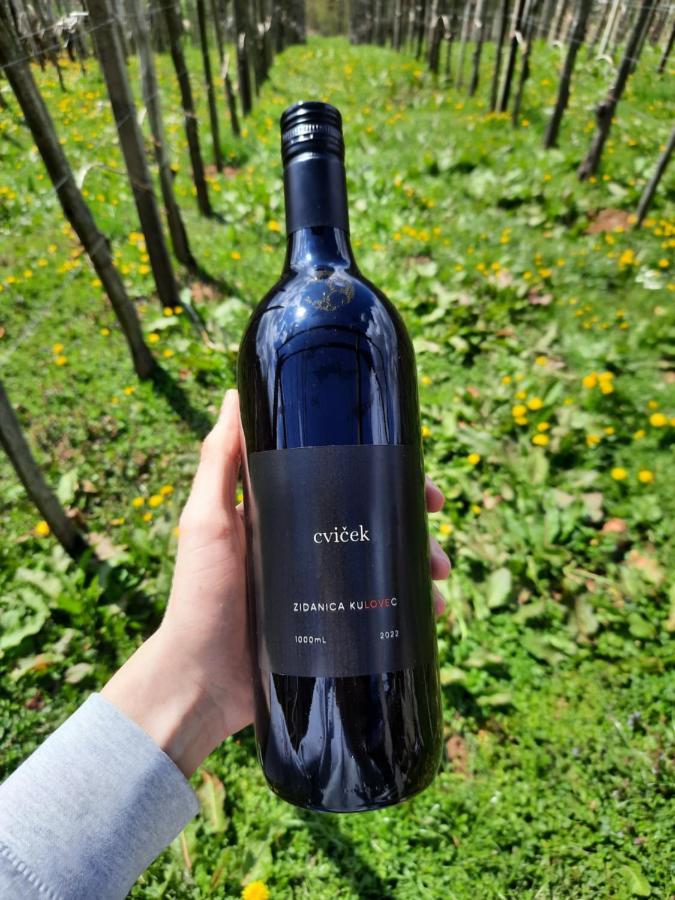 Vineyard Cottage Kulovec Ursna Sela Экстерьер фото